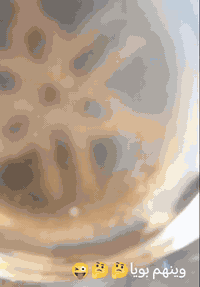 ماكس منغولي دراجه نظيفه هذا رقمي وتك عليه 07864630693