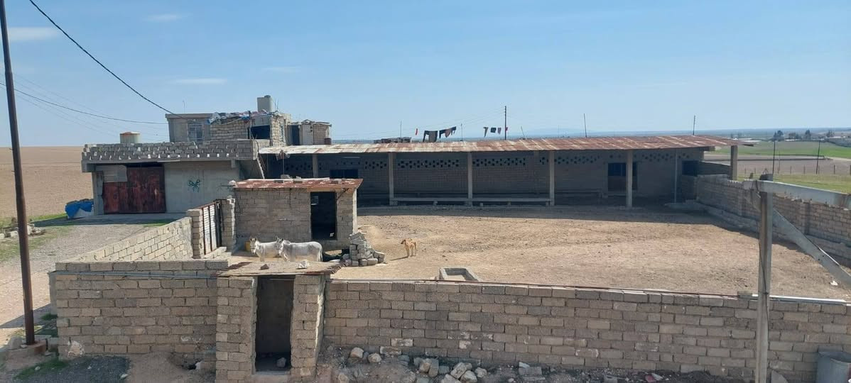 حقل دواجن وحقل عجول للبيع للإستفسار واتساب ***********
