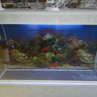 حوض سمك للبيع الجام الثقيل  (وجهيته متر ) العرض 20س بالاضافه الى ماطور...