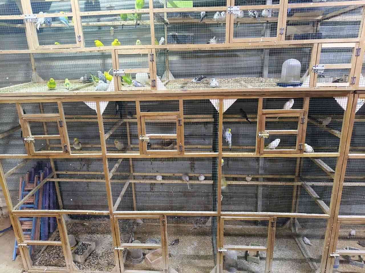 سلام عليكم متاح خانات مقطعه كل 3 وحد والفوك كل 2 وحد للبيع سعر المربع 30 يعني ال 3 ب 90 المكان الطارميه الشارع العام مقابل مجمع حار وبارد تفاصل اكثر خاص


**إذا كنت صاحب هذا الإعلان وتريد حذفه لأي سبب، رجاءا أرسل رسالة إلى الدعم الفني**