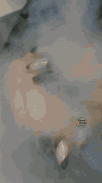 أكرلك يمنه مو بس أظافر… تغيير مزاج ✨ ثبات قوي، شكل أنيق، ولمعة تدوم 💅 ...