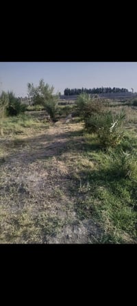 ٥٠٠م • واجهه ١٧م • قرب سيد ذهب