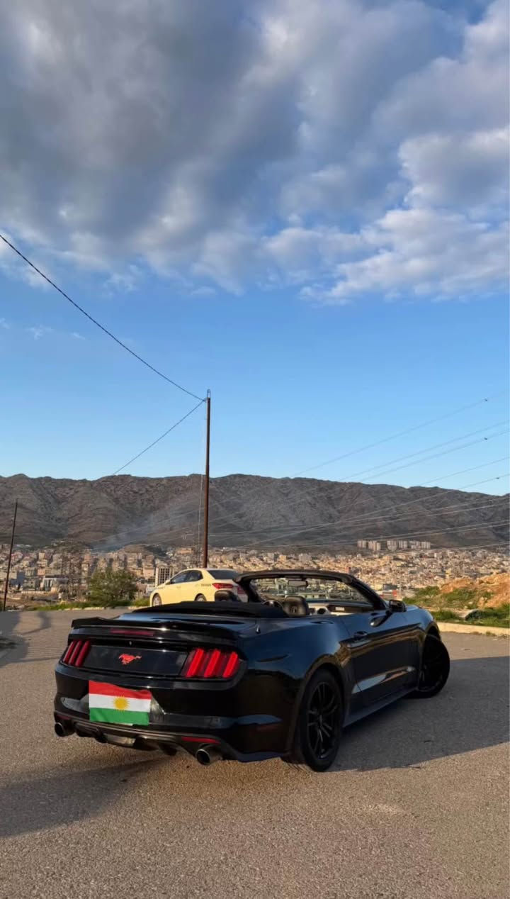 بونيت جاملوخ 
بي داخل 
يرباك سوكان 
يكو پوست ٤ پستن
*********** أربيل, العراق
