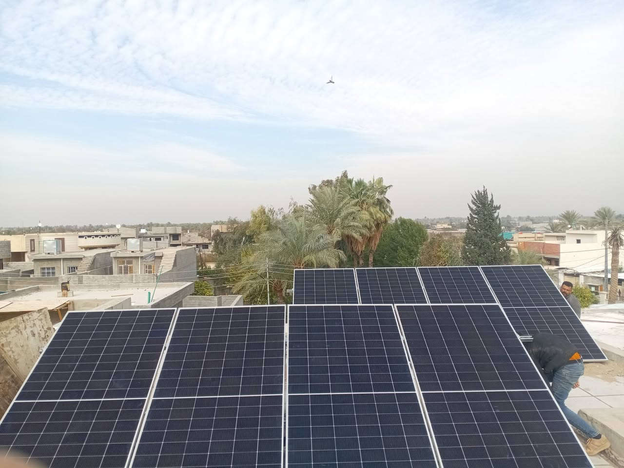 {تنصيب منظومة طاقة شمسيه}

‎من قبل كادر شركة رويال سولار 

‎تجهيز منظومة منزلي 16 أمبير نهارأ و 16أمبير ليلأ 

الموقع صلاح الدين -قظاء بلد - حي العباس النموذجي
  
‎✅الواح المستخدم جينكو حجم 615واط
‎عدد: ٨ ضمان 15 سنة استبدال

جهاز انفيرتر    DEYE 6k✅
‎  عدد:1 ضمان 5 سنة 

بطارية مستخدمة نوع ليثيوم SOLAX  حجم 16KW ✅
عدد:1 ضمان 10 سنوات تبديل+صيانة

‎يتوفر لدى شركتنا رويال سولار نظام نقدي و اقساط لموظفين كي كارد لمده 18 أشهر 

‎العنوان كركوك شارع القدس - مقابل كوفي الجادرية - عمارة رويال نيت 

‎فرع الثاني كركوك شارع المطار قرب فلكة تكريت

فرع صلاح الدين - تكريت - القادسية شارع الكراج -قرب الحديثي للموبايل 

‎للحجز والاستفسار للتواصل او مراسلتنا على واتساب 

*********** كركوك
*********** صلاح الدين اسيا
*********** صلاح الدين زين
*********** الشركة 

 الرقم المختصر 6020📞
