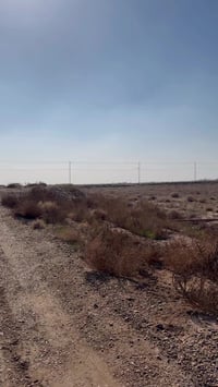 ارض زراعيه سند 25 الكاع في الرضوانيه  عله شارع التبليط السريع والارض ل...