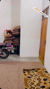 سيڤاني • ٢٠٢٤ • وزن ثقيل