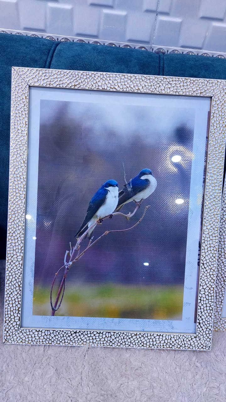 للبيع  حسب الحاجة للاستفسار تعال خاص


**إذا كنت صاحب هذا الإعلان وتريد حذفه لأي سبب، رجاءا أرسل رسالة إلى الدعم الفني**