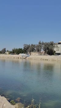 عطر ليل البنفسج • فواح • حله السوق الكبير