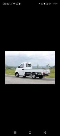 شيرلي حمل ١١ سنويته صاقطه راعيه يريد تحويل السعر ٣٥ وبيه مجال اترايه ا...