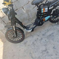 باسكل شحن • حالة زينة • بابل الكفل