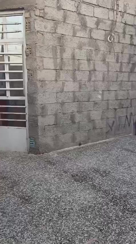 دار للبيع مساحة 125متر الشعب  حي البساتين شارع التكاتك
غرفة نوم 
استقبال 
مطبخ 
منور 
حمام 2
طرمة

مي كهرباء  وطني وسحب ومجاري كامل مكمل 
*********** لتواصل واتساب
