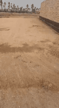 سلام عليكم قطعة ارض للبيع المساحه 500م طابو زراعي سند 25 موقع القطعه حله بكرلي خلف الملعب السعر المطلوب 53 وقابل للتفاوض ليرغب مراجعة مكتب عقارات الشمري بأدرة حسين ذياب او الاتصال على الرقم التالي ***********
