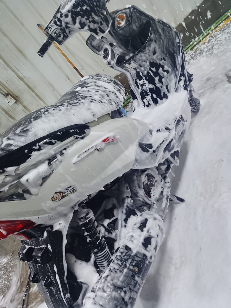 ثعلب مراوس بماكس 
مكاني الدوره
***********
