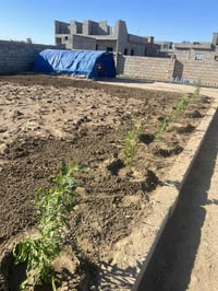 ⛔️⛔️نكول يالله ونبدا يوجد كادر زراعة حدائق فرش زميج ديكورات حدائق  اتص...