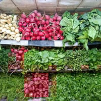 توصيل • دجاج عراقي • خرنابات شارع السچه