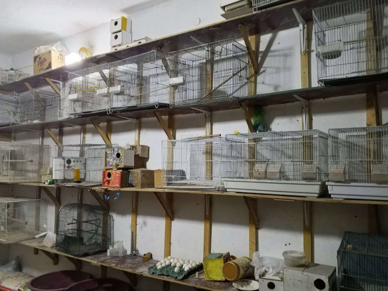 رفوف للبيع بلويد العنوان الدور مقابيل متنزة الدفاع المدني ***********
