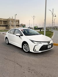 كورلا • ٢٠٢٥ • البصره