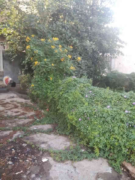 بيت للايجار
السلام عليكم ورحمة الله وبركاته 
يعلن مكتب ديياج للعقار 
عن وجود بيت للايجار 
المساحه 130متر
الموقع شارع 80 شارع الرابط بين 80وشارع 100خلف مدرس زهور بابل قرب شارع 100محيزم الثانيه 
البيت مقابيل ساحه 
لاستفسار اكثر مراجعه مكتب ديباج للعقار 
***********
*********** 
[مطلوب عائله نضفيه محترمه مع تحياتي للجميع]
