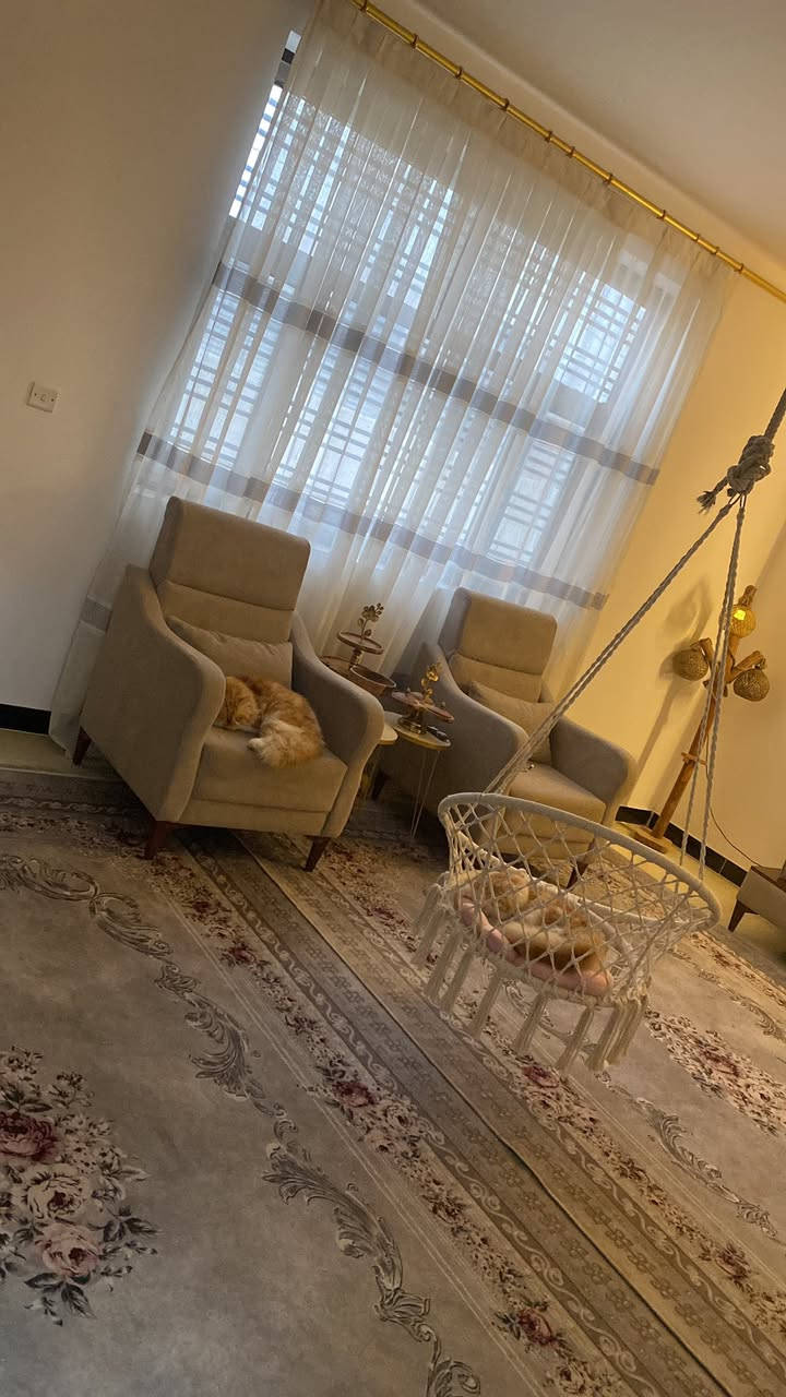 تخم ١٠ نفرات كامل بسعر ٦٠٠ قفل مكاني نجف


**إذا كنت صاحب هذا الإعلان وتريد حذفه لأي سبب، رجاءا أرسل رسالة إلى الدعم الفني**