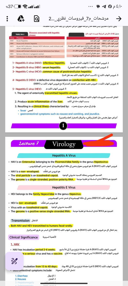 السلام عليكم
⭕ انت استاذ وتريد تصاميم لملزمتك 👌🔥✍️
⭕ انت دكتور جامعي وتريد تصميم لحقيبك 👌🔥✍️
⭕ انت طالب جامعي وملازمك تحتاج تصميم وترجمة بدقة عالية 👌🔥✍️
⭕ انت طالب مدرسة وتريد تصميم وترتيب لملازمك 👌🔥✍️ 
⭕ عندك اعلان دراسي او دورة الكترونية وتريد غلاف للاعلان  👌🔥✍️
⭕ تريد تصمم لوكو خاص بيك 👌🔥✍️

كل هذا متوفر يمنا 💯
وباسعار مناسبة جداً 🔥

هذا نموذج للتصاميم الي سوينها 👌🤩

للحجز التواصل على الرقم واتساب ***********
