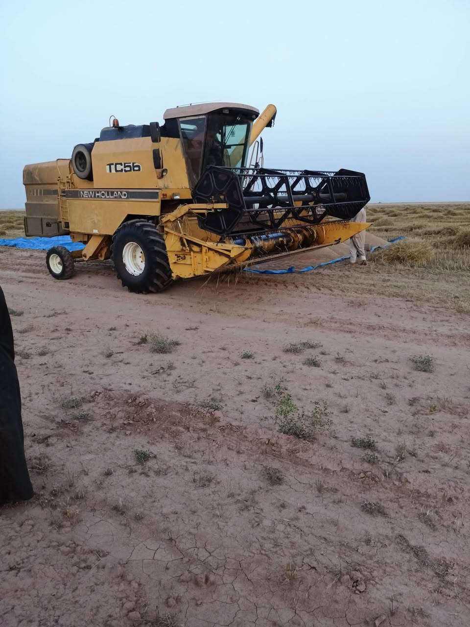 حاصده نيوهولاند موديل1997 جاهزه
5بلم للاستفسار اتصل ***********
