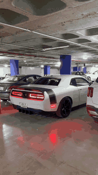 چالنجر 2017صور الحادث ولسونر موجود بلصور سياره كير مكينه تشك الكاع سياره تخبل وبلعافيه ع ياخذهه مكاني بغداد زيونه شرط التحويل 
***********
السعر 143وبيه مجال
