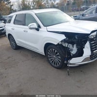 باليسايد كاليغرافي • ٢٠٢٤ • ضرر