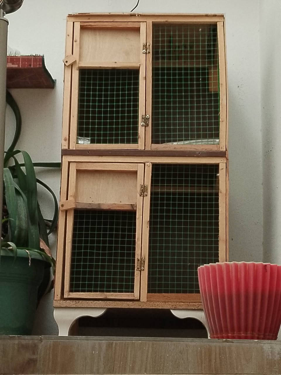 قفص طير حب نستعمل للبيع س ع ر20والقفص الثاني طابقين السعر25مكاني حي العسكري جسر حصو ورمل


**إذا كنت صاحب هذا الإعلان وتريد حذفه لأي سبب، رجاءا أرسل رسالة إلى الدعم الفني**