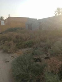 متاح قطعت ارض مساحه ٢٥٠متر سند 25طابو زراعي ماء كهرباء طوارء رقم التلي...