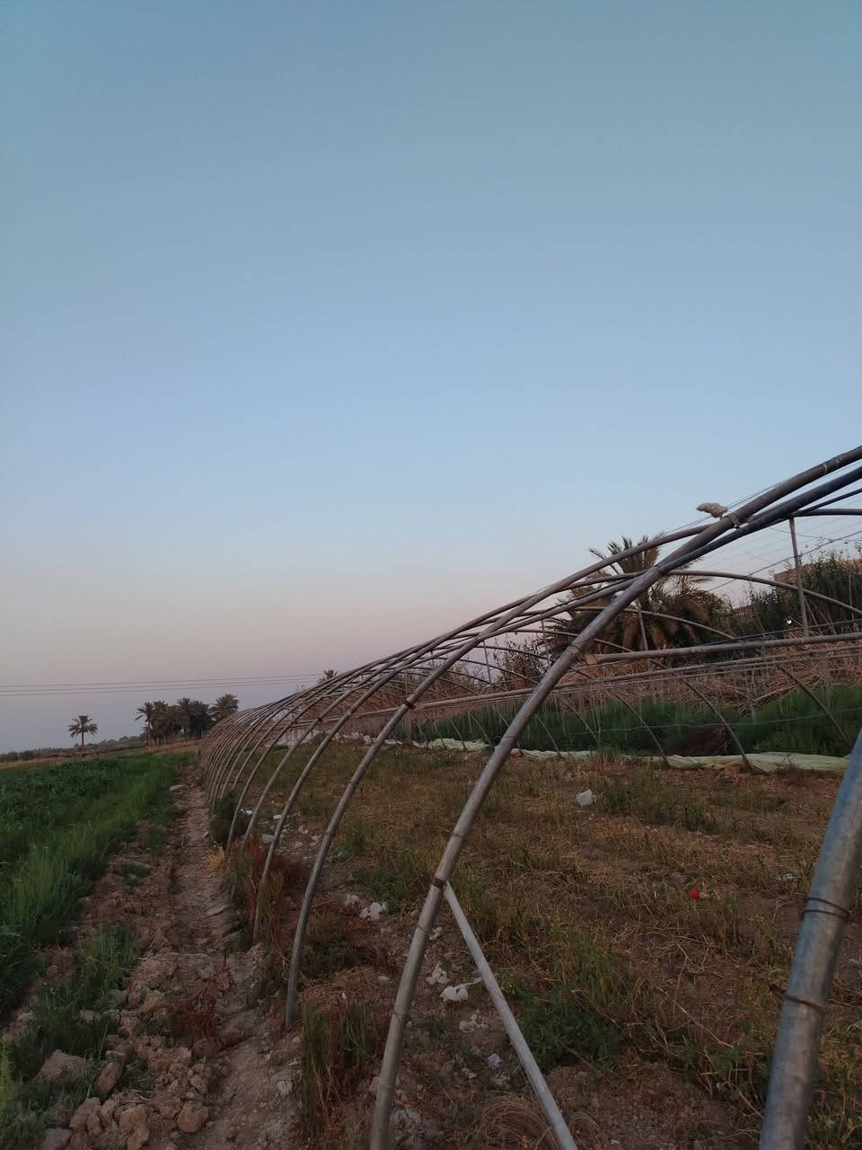 للبيع: هيكل بيت بلاستيكي زراعي
📍 المكان: المدائن - سلمان باك - منطقة الخناسه
🔧 الحالة: هيكل حديد جاهز للزراعة
الهيكل مع نايلون. /صوندات / وسيام
طول 50 والعرظ 9
📞 للاستفسار والشراء: ***********
