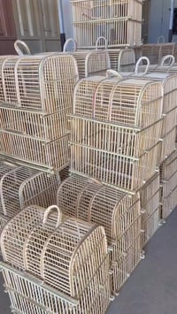 قفاصات بلاول • عود صيني • الدجيل