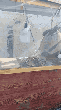 عربانه حب وكرزات للبيع ***********
