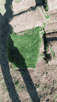 عملي حدائق مماشي حلان ***********
