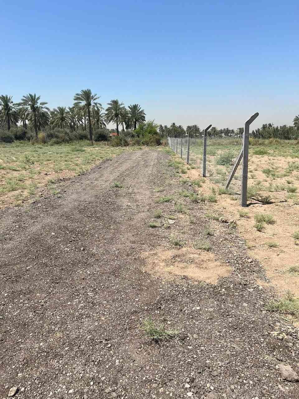 السلام عليكم  دونم طابو ملك صرف لوجه
52ونزال 49 العنوان بغداد المدائن شارع سيد علي 

تحويل بسم المشتري ب طابو المدائن خدمات ماء كهرباء 

شارع 8م موقع مميز يرهم مزارع او الاستثمار الاستفسار خاص او تصال واتساب ***********
