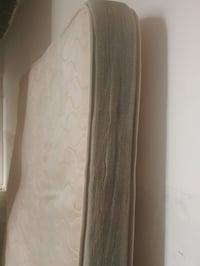 مرتبة سبرنج نفرين • موصل حي الانتصار • مندوبة جديدة