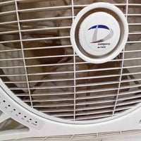 بنكة • مروحة • بغداد