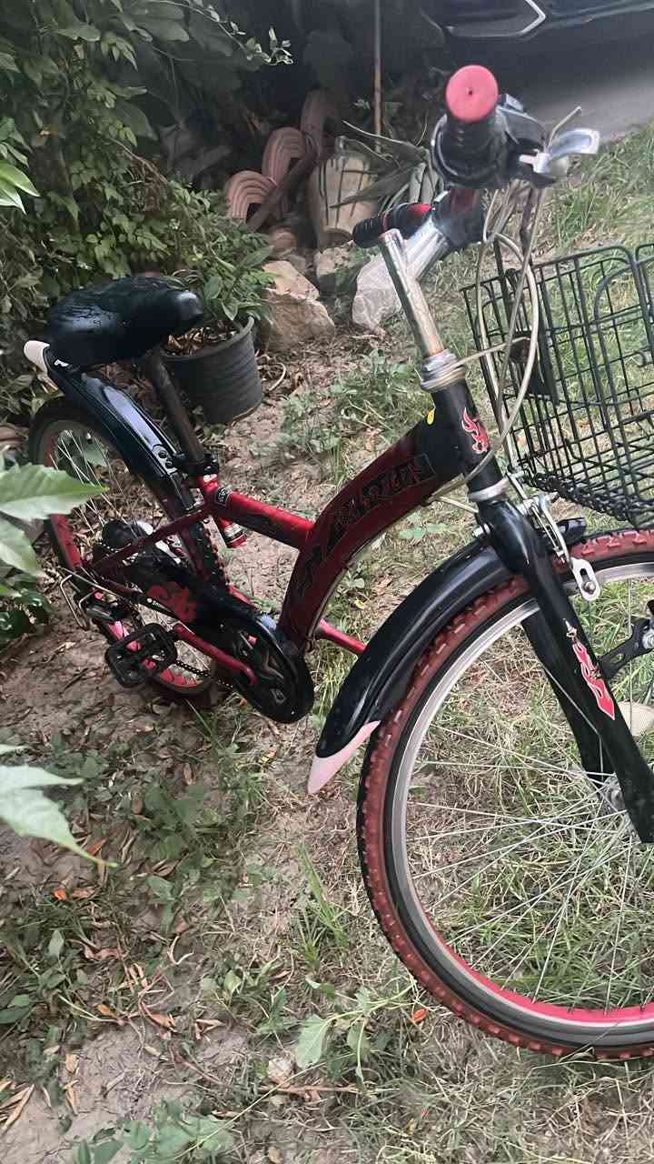 بايسكل مستعمل جدا قليل السعر 115و بي مجال الرقم +964 770 884 7978


**إذا كنت صاحب هذا الإعلان وتريد حذفه لأي سبب، رجاءا أرسل رسالة إلى الدعم الفني**