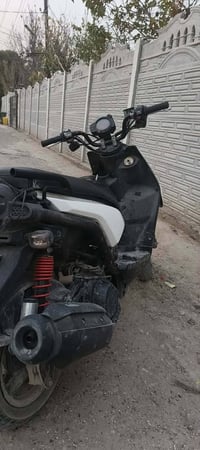 سنكس جبلي • نوزل مو كابريتر • كفرات متضررة