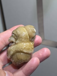 ميحتاج اشرح عنه حجرعطف  مصور رباني وجه كامل رباني مرعب مكشوف مناميا جو...