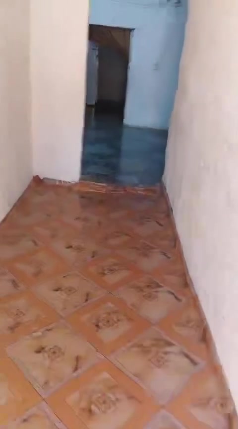 سلام عليكم بيت في النهروان سعر 30مليون وبي مجال
منطقة الشمري بضهر السوك خلف ابو سيف النجار موقع البيت اول تعليق نوع العقار مصفر وبي معامله ورقم بيت مساحة 200متر البيت سيراميك وبورسلين بالكامل الاتصال بصاحب البيت فقط اتصال رقم صاحب الدار ***********
