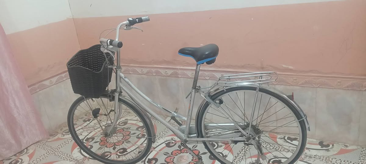للبيع حجم 27 السعر 85


**إذا كنت صاحب هذا الإعلان وتريد حذفه لأي سبب، رجاءا أرسل رسالة إلى الدعم الفني**