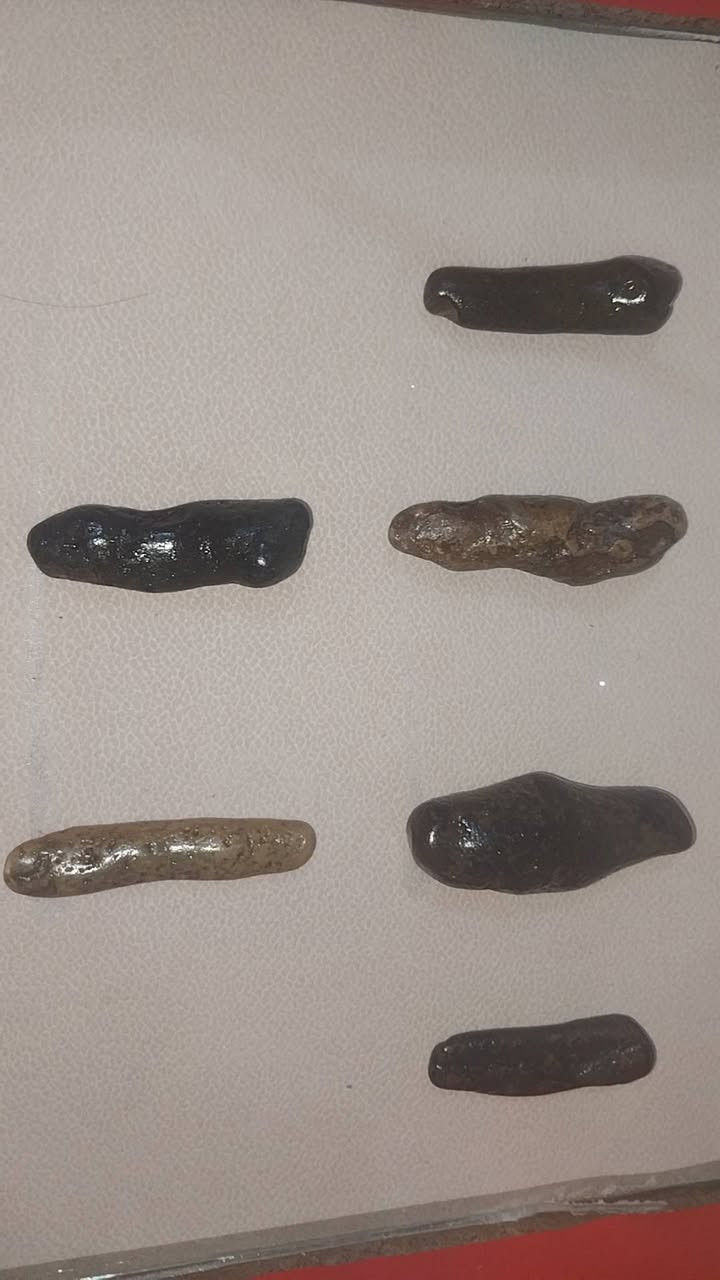 من رخصة صاحب الكروب *********** واتساب فقط
