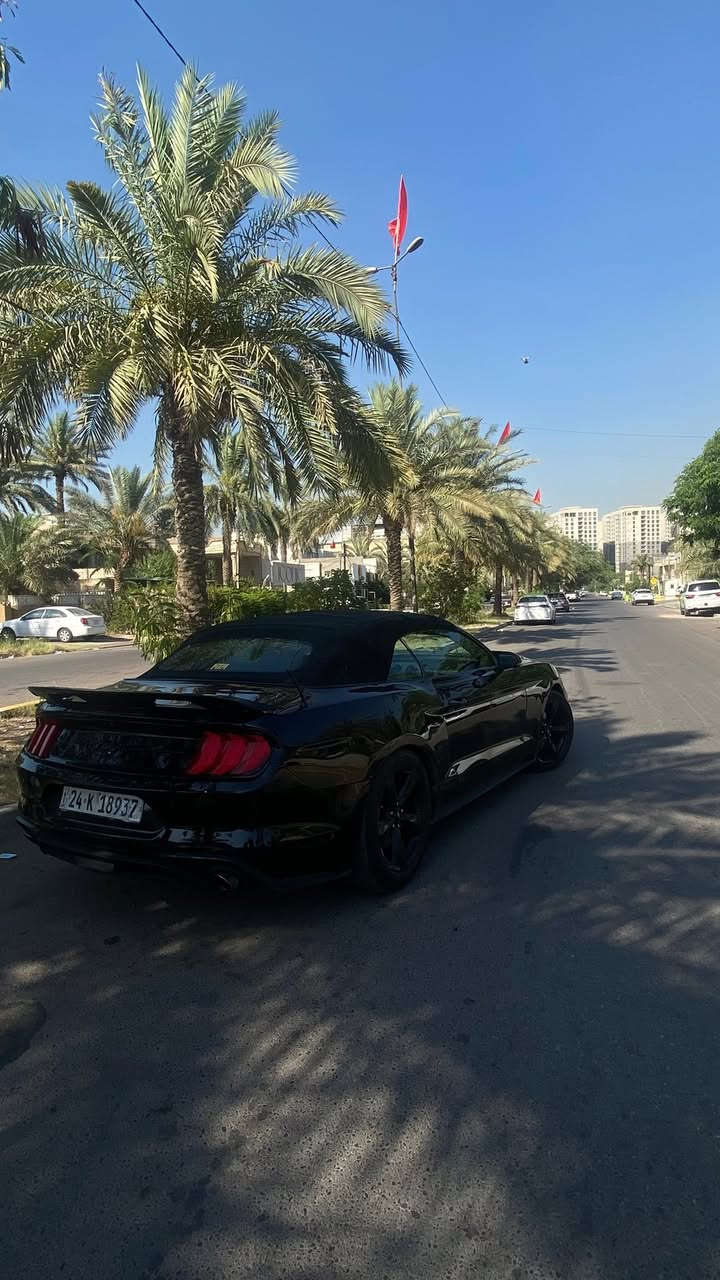 موستنك 2018 كشف ايكو بوست
السيارة فووول مواصفات 
مكينة 2300 تيربو
السيارة رقمهة دهوك
حادثهة جاملغين عكس السايق والباب مبدل اصلي شركة نفس الون
السعر 107 وبيهة مجال
السيارة بيهة نواقص وينرادلهة ترتيبات وماكو موستنك 18 بهيج سعر بعد والي متعجبة السيارة خل يعبر المنشور والله يرزقة بالاحسن منهة 
*********** واتساب فقط
