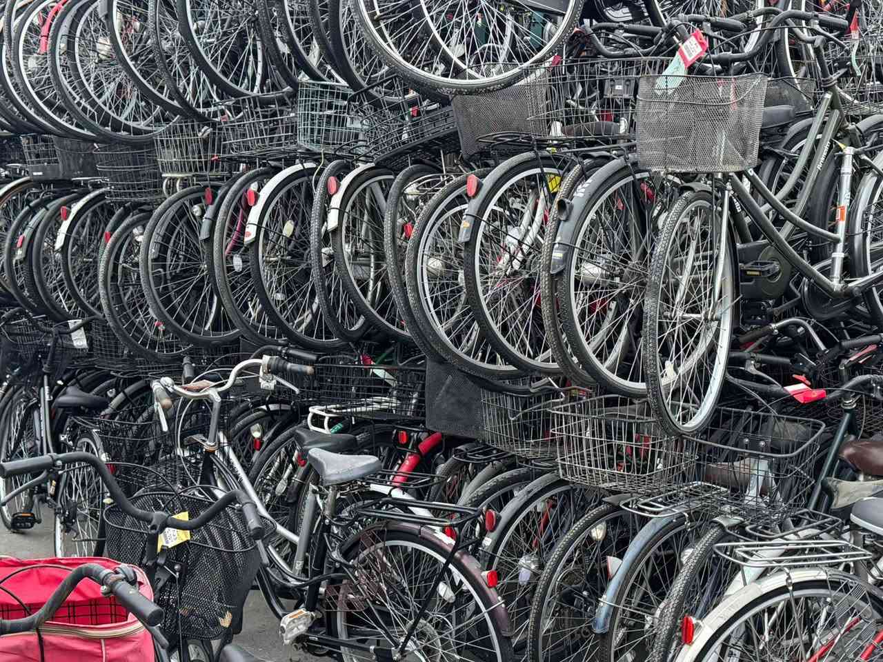 مستعدين لتحميل حاويات من ارض اليابان الى كل تجار العراق حسب طلبك
بايسكلات ياباني جملة مفرد حاويه للبيع بسعر الجمله🚲🇦🇺🇧🇻🇦🇮🇦🇫
بابل، ناحية السدة المفرق👏
مجمع القمة الجديد للبايسكلات قرب مطعم اجواء بابل 🌹🌹🌹🚲🚲🚲

*********** احمد الغانمي
شنو تريد اكو وبسعر مناسب
#بناتي٢٦ ٢٧. بكل تفاصيله  🌹🚲🌹🚲
#اطفال ١٤،١٦،١٨
#جبلي ٢٦ و٢٧ ياباني
#يطبك جبلي
#عرباين اطفال باله وعرباين احتياجات خاصة
#ماركات عالمية ووووو♥️🚲♥️🚲
#يوجد توصيل جميع المحافظات
