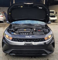 فورتي • ٢٠٢٤ • بدون صبغ