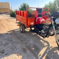 ستوته • ابيض • سنوية