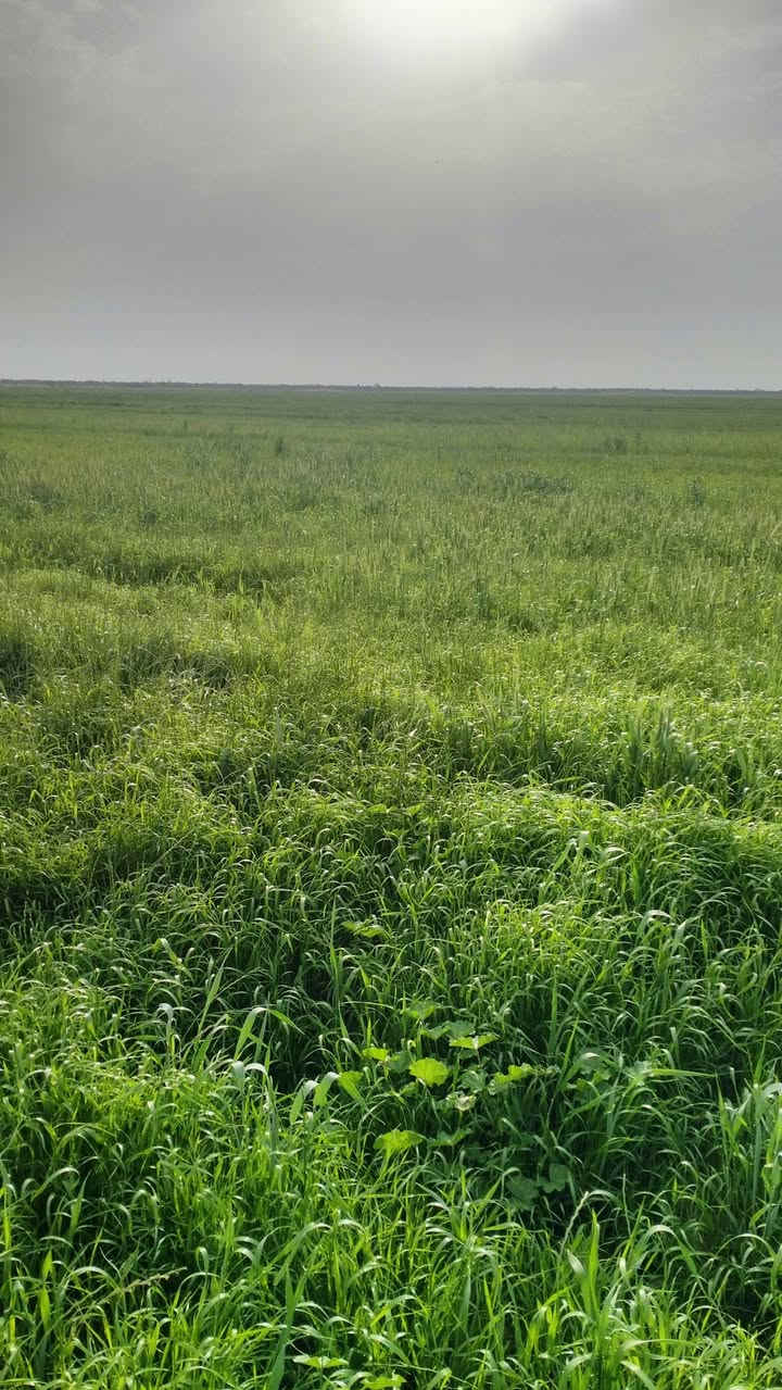 سفحه للبيع
120 دونم

المكان واسط كوت 

دلمج المزاك 

للاستفسار الاتصال ع 

***********
