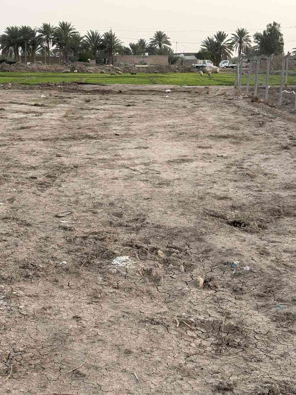 ©️إعـــلان ارض زراعـــيه للبــيع المســـــــاحه 2 دونم 🏞️
🏢طابـو زراعـــي ســند 25 تحــويل مباشر 

💡تتــوفر فيها كـــافه الخـــدمات

🚰اســـاله كهرباء مـاء سقي

 🏢محدده ومفروزه 

🏞️العنــوان بابل ورديه خــارج قرب سيطره البوطيف 

📲.     الاتصال ***********
