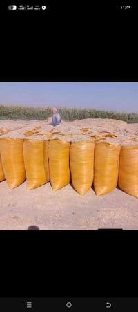 يوجد تبن للبيع ابيع بل جوز لان ماعرف جم عربانه الشراي يتصل07819158303