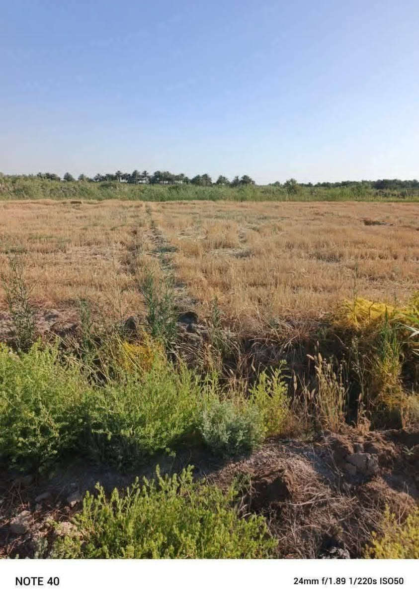 ࡋߺࡋߺࡅٜߺࡅ࡙ߺ𐭦ߺ
5 دونم للبيع سند زراعي 25 يتحول بالطابو كافه الخدمات متوفره ماء نهر يمها وكهرباء شارعها نص ترابي ونص تبليط تبعد عن الشارع العام كيلوين ارض صالحه للزراعه
الموقع حله سياحي قرية كويخات
للاستفسار
***********
***********
